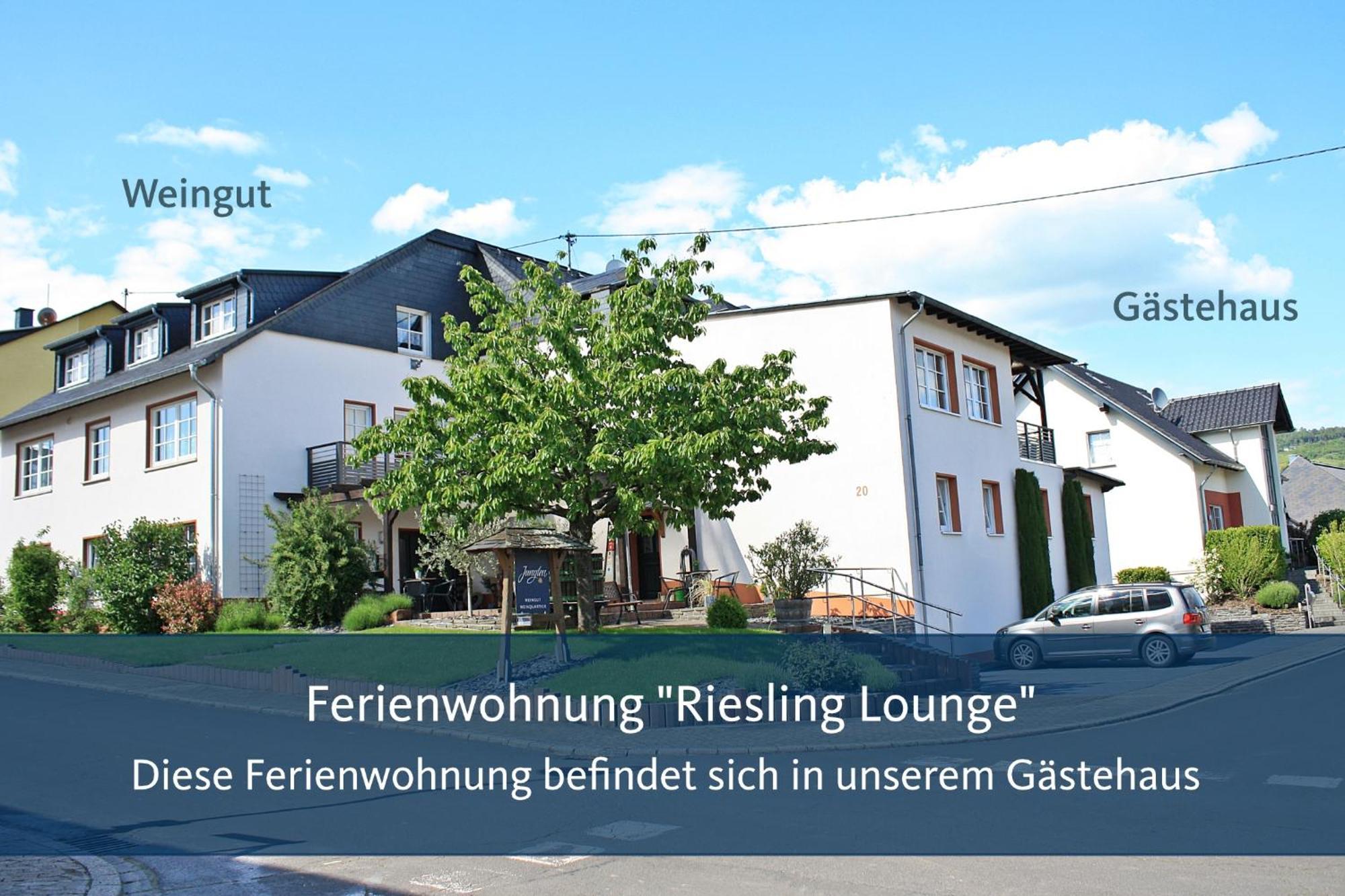 Weingut Markus Junglen Kröv Quarto foto