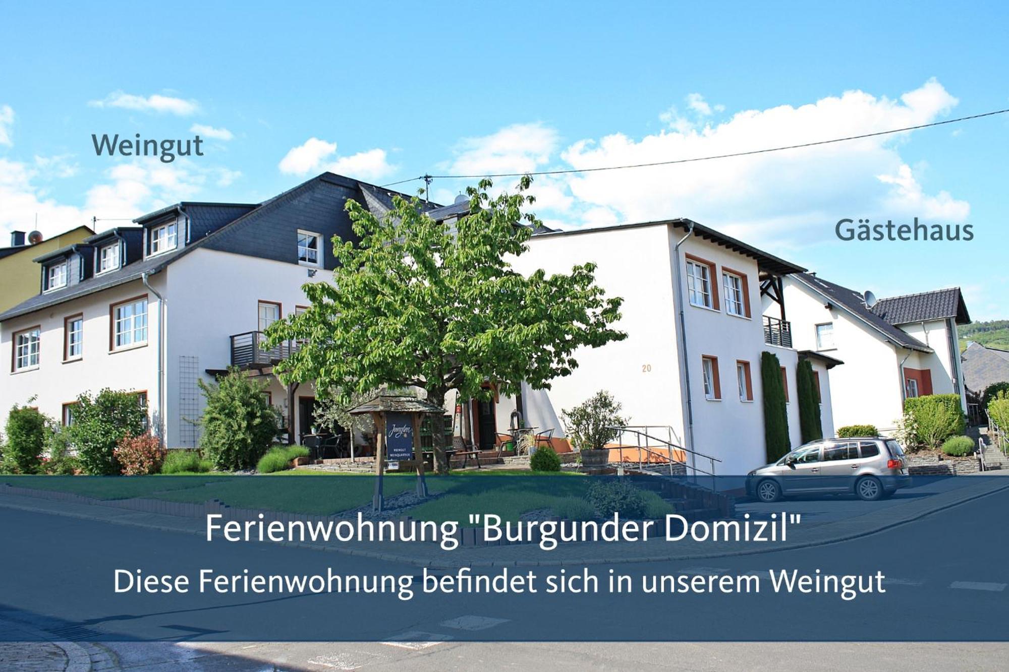Weingut Markus Junglen Kröv Quarto foto